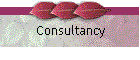 Consultancy